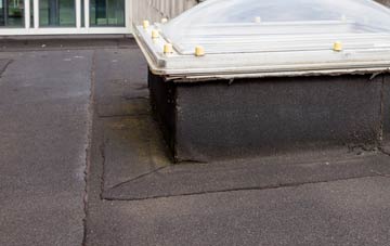 disadvantages of Langwith flat roofs