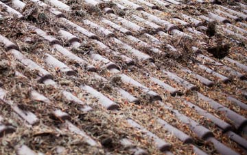 Langwith roof cleaning companies