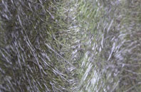 Langwith fibreglass roof work